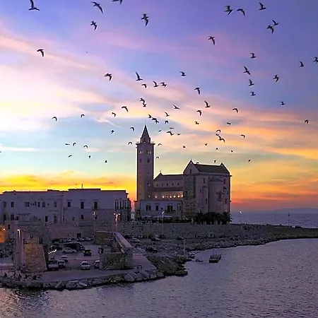 La Soffitta Covelli 特拉尼